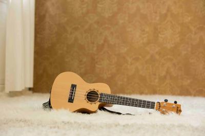 Ukulele Crashkurs CTimoBlaschkeDE AstridHauke2018 28 web